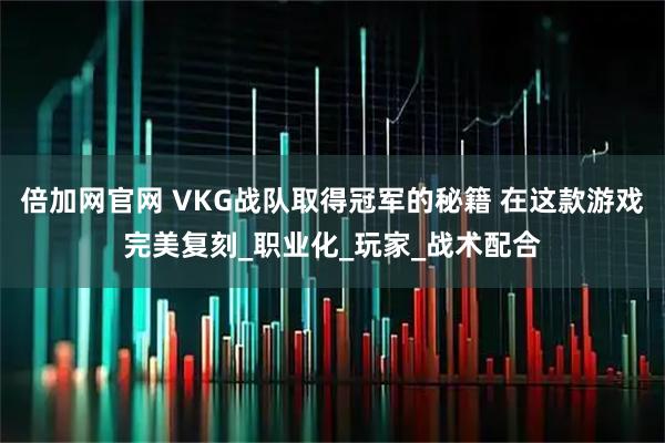 倍加网官网 VKG战队取得冠军的秘籍 在这款游戏完美复刻_职业化_玩家_战术配合