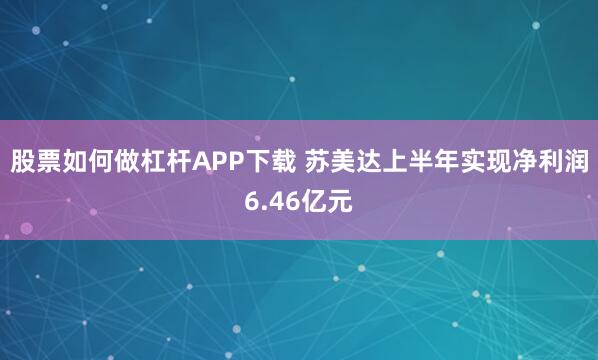 股票如何做杠杆APP下载 苏美达上半年实现净利润6.46亿元