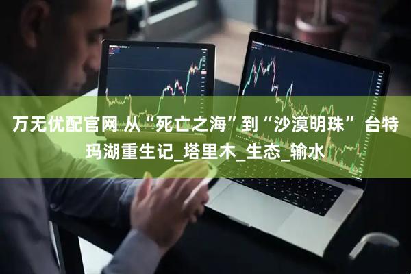 万无优配官网 从“死亡之海”到“沙漠明珠” 台特玛湖重生记_塔里木_生态_输水