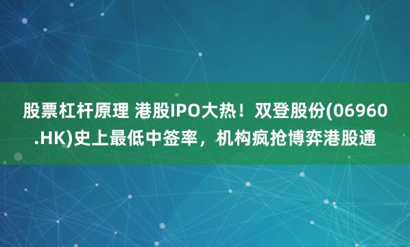 股票杠杆原理 港股IPO大热！双登股份(06960.HK)史上最低中签率，机构疯抢博弈港股通