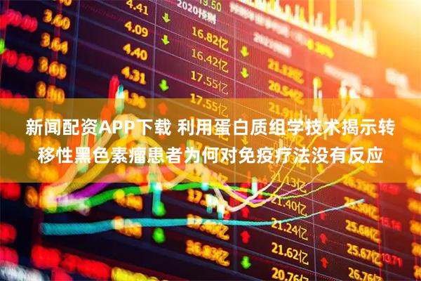 新闻配资APP下载 利用蛋白质组学技术揭示转移性黑色素瘤患者为何对免疫疗法没有反应