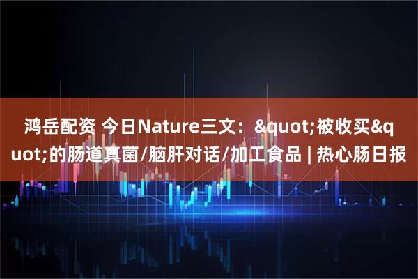 鸿岳配资 今日Nature三文："被收买"的肠道真菌/脑肝对话/加工食品 | 热心肠日报
