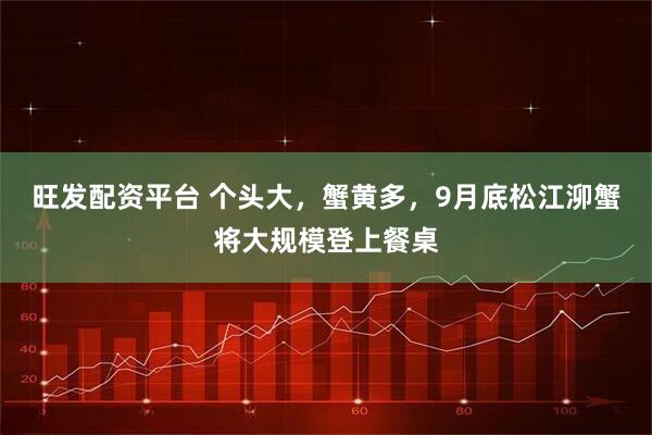 旺发配资平台 个头大，蟹黄多，9月底松江泖蟹将大规模登上餐桌