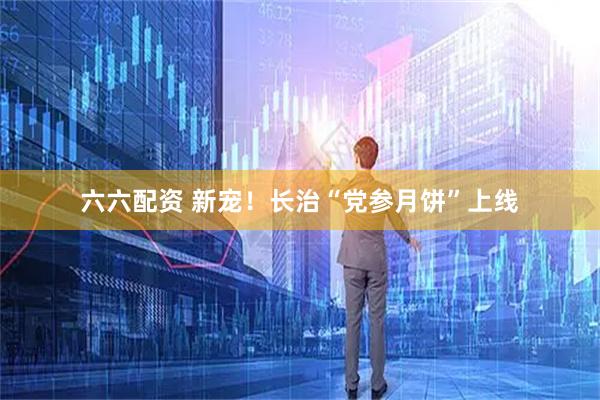 六六配资 新宠！长治“党参月饼”上线
