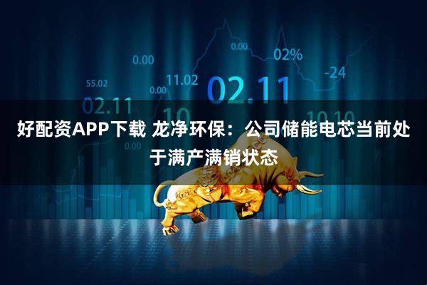 好配资APP下载 龙净环保：公司储能电芯当前处于满产满销状态