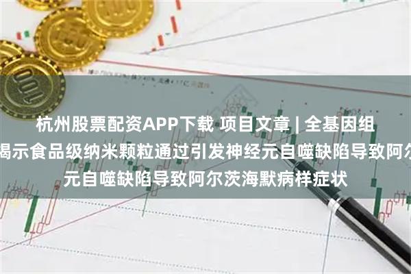 杭州股票配资APP下载 项目文章 | 全基因组DNA甲基化测序揭示食品级纳米颗粒通过引发神经元自噬缺陷导致阿尔茨海默病样症状
