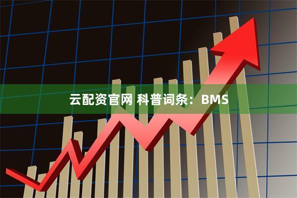 云配资官网 科普词条：BMS
