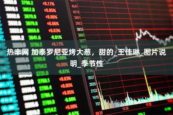 热丰网 加泰罗尼亚烤大葱，甜的_王佳琳_图片说明_季节性