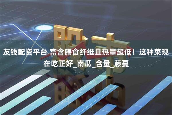友钱配资平台 富含膳食纤维且热量超低！这种菜现在吃正好_南瓜_含量_藤蔓
