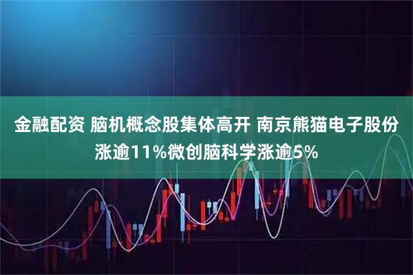 金融配资 脑机概念股集体高开 南京熊猫电子股份涨逾11%微创脑科学涨逾5%