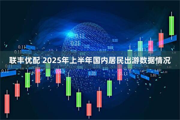 联丰优配 2025年上半年国内居民出游数据情况
