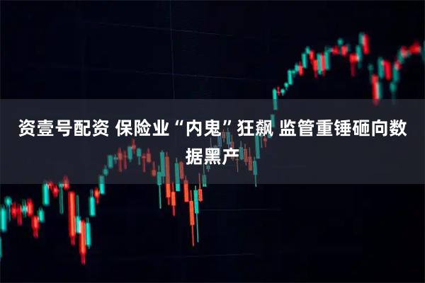 资壹号配资 保险业“内鬼”狂飙 监管重锤砸向数据黑产